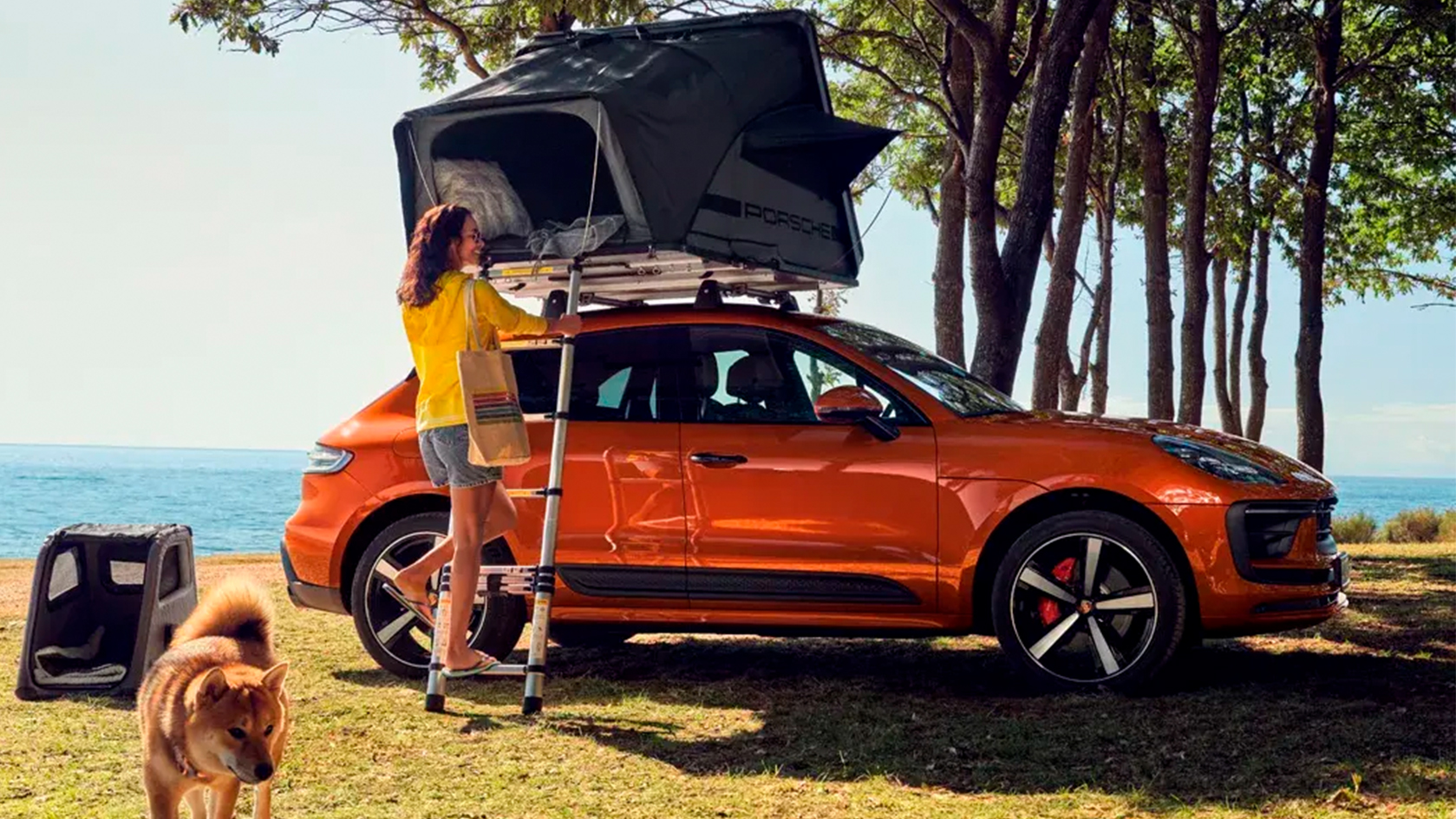 Tienda de Techo Porsche para cualquier modelo